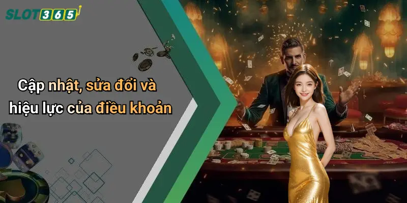 Cập nhật, sửa đổi và hiệu lực của điều khoản