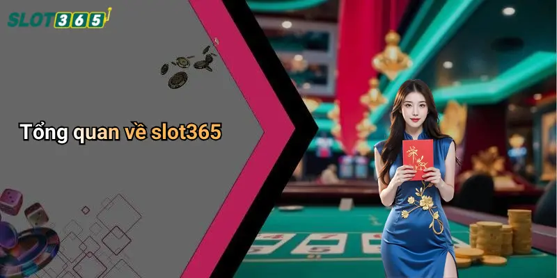 Tổng quan về slot365